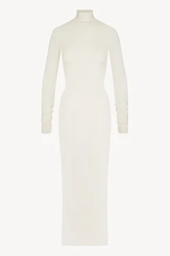 LONG SLEEVE TURTLENECK MAXI DRESS