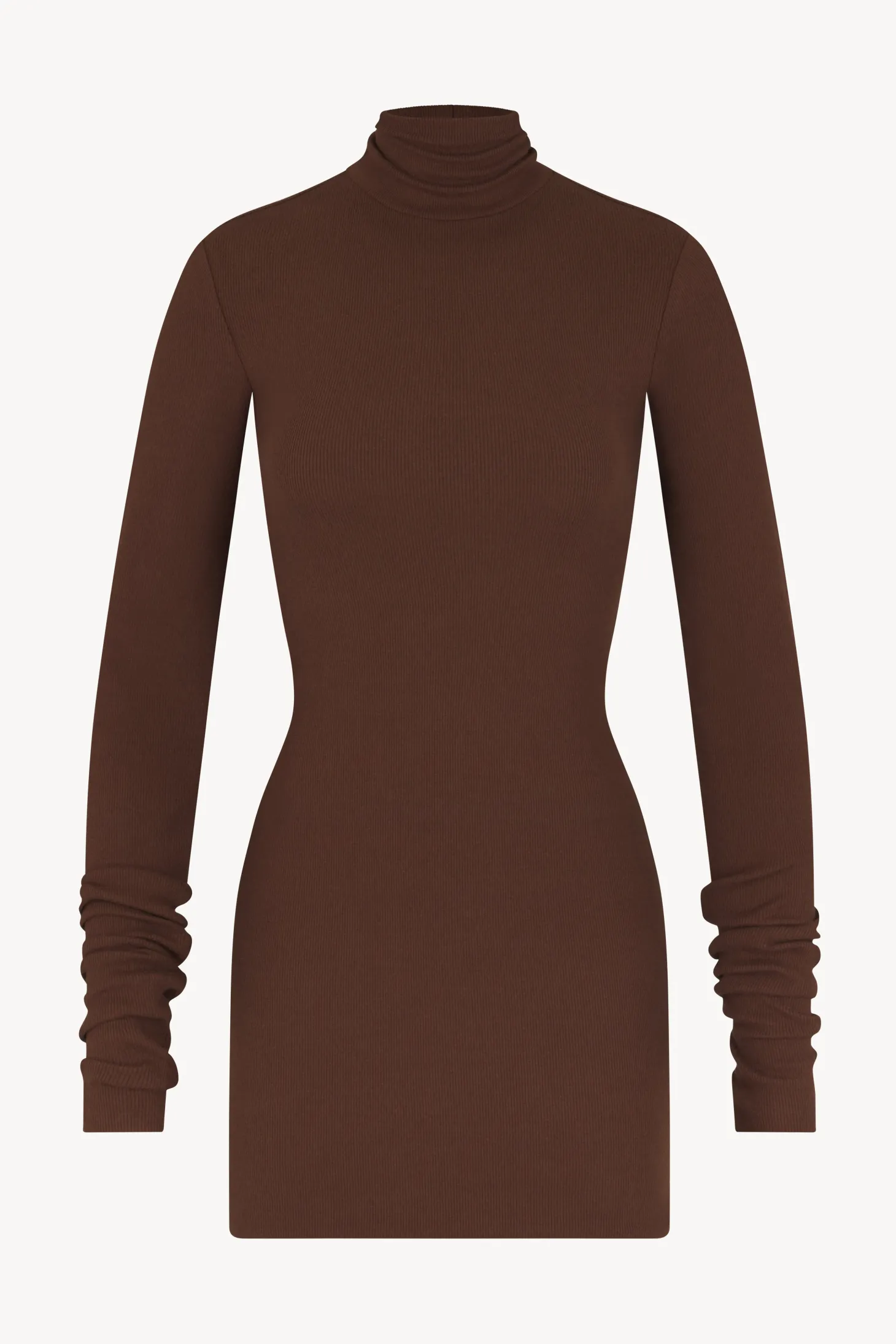 LONG SLEEVE TURTLENECK MINI DRESS