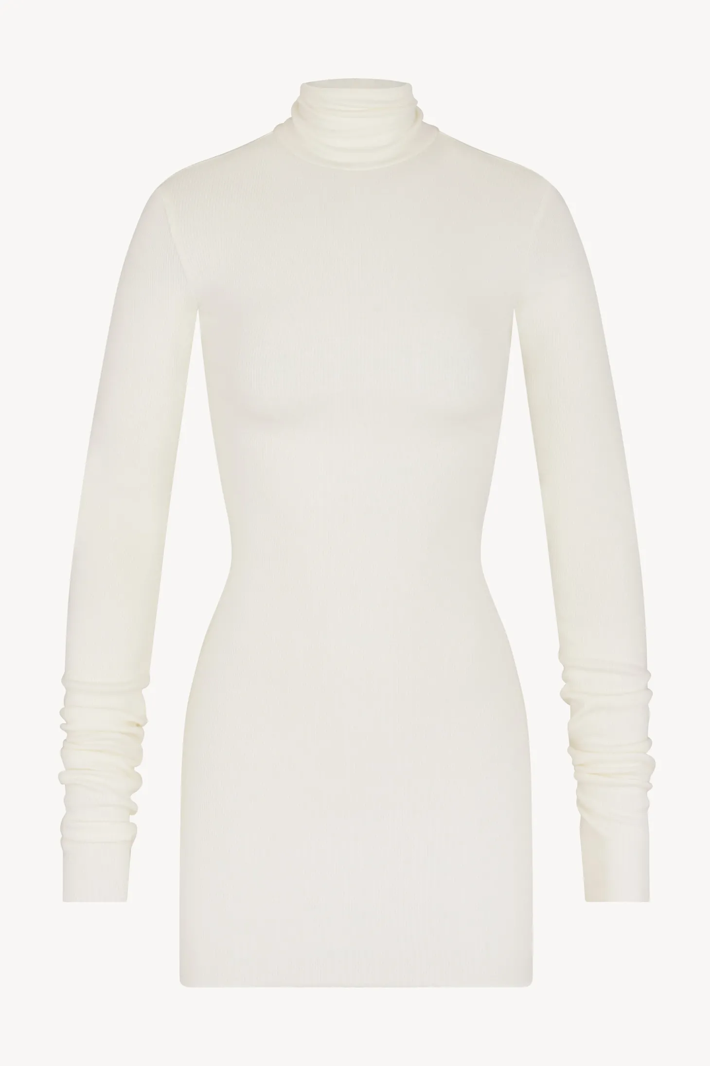 LONG SLEEVE TURTLENECK MINI DRESS