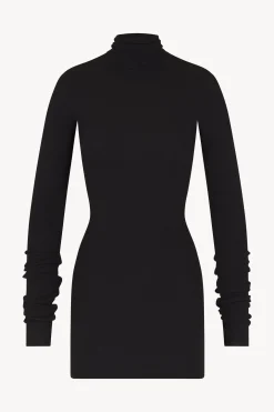 LONG SLEEVE TURTLENECK MINI DRESS