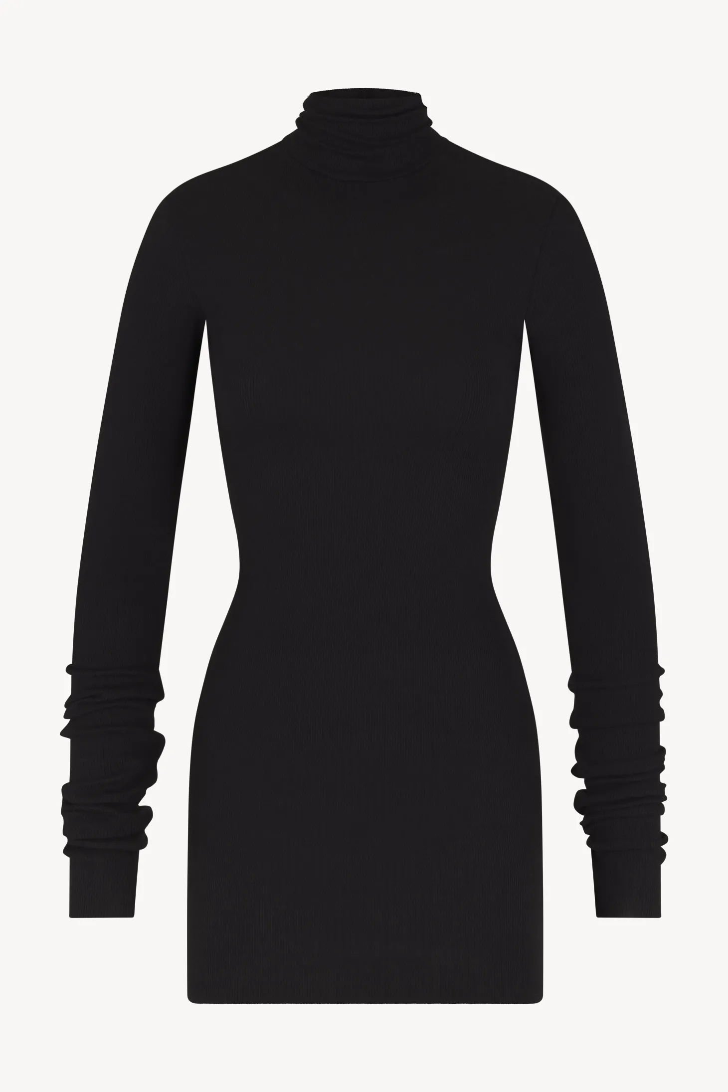 LONG SLEEVE TURTLENECK MINI DRESS