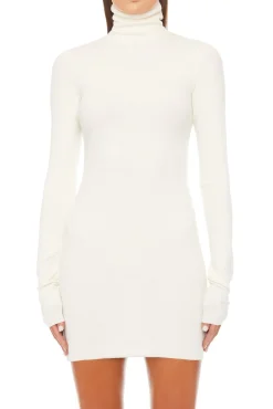 LONG SLEEVE TURTLENECK MINI DRESS