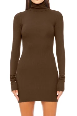 LONG SLEEVE TURTLENECK MINI DRESS
