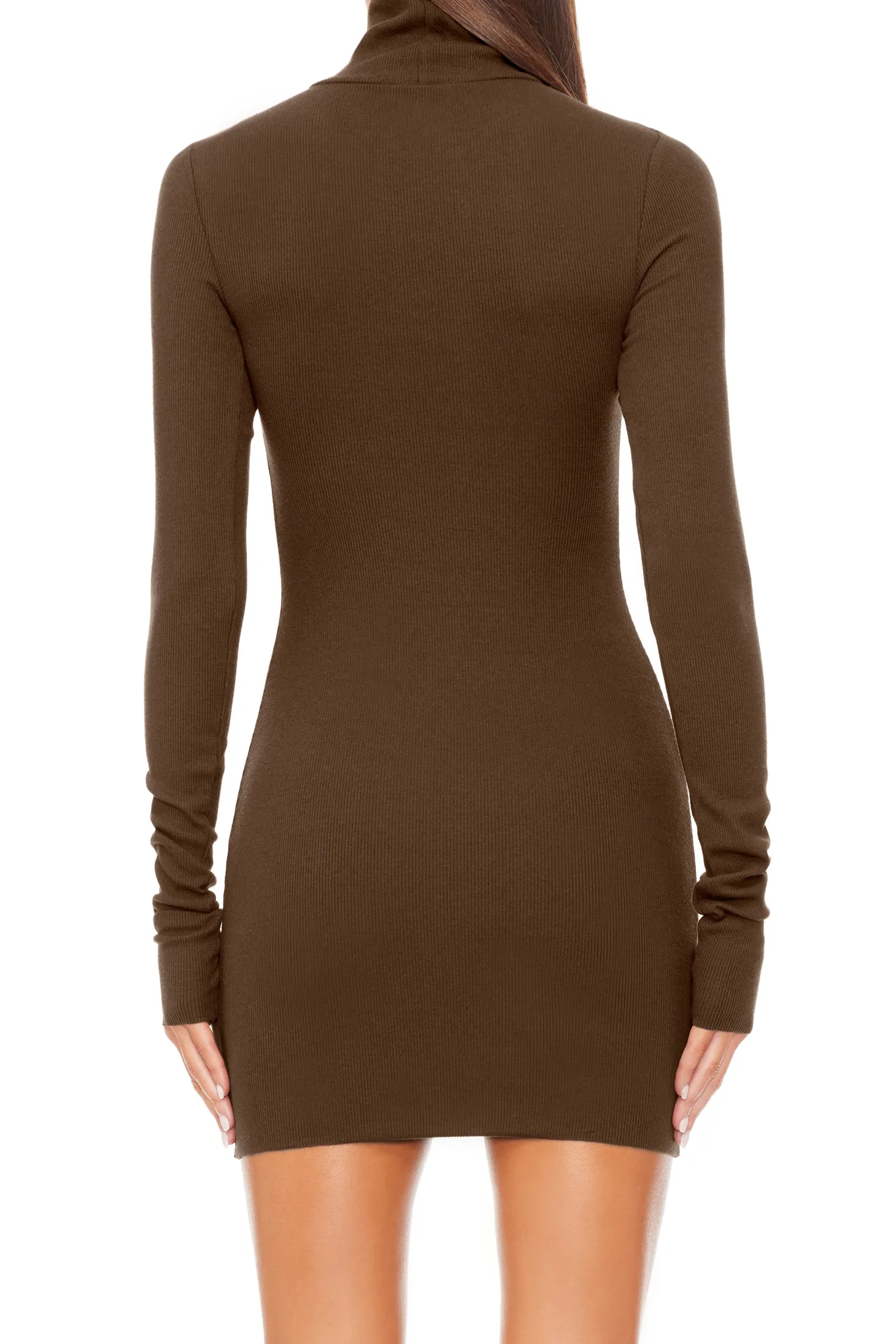LONG SLEEVE TURTLENECK MINI DRESS