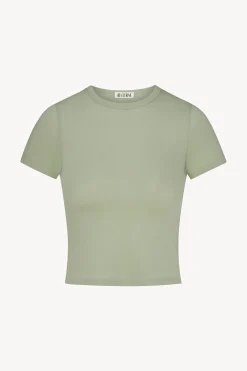 Short Sleeve Baby Tee in Sage